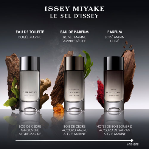 ISSEY MIYAKE Le Sel d'Issey - Parfüm 3423222119607
